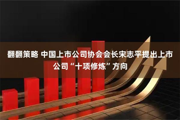 翻翻策略 中国上市公司协会会长宋志平提出上市公司“十项修炼”方向