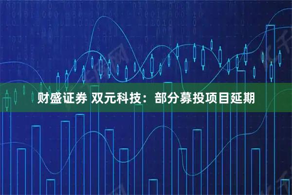 财盛证券 双元科技：部分募投项目延期