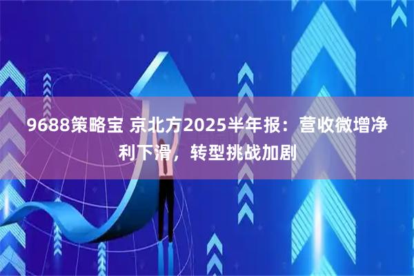 9688策略宝 京北方2025半年报：营收微增净利下滑，转型挑战加剧
