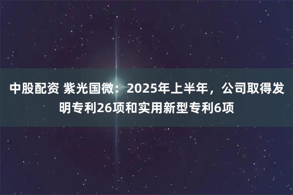 中股配资 紫光国微：2025年上半年，公司取得发明专利26项和实用新型专利6项
