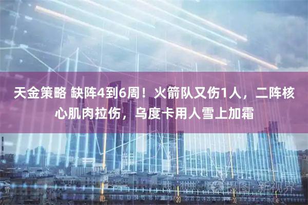 天金策略 缺阵4到6周！火箭队又伤1人，二阵核心肌肉拉伤，乌度卡用人雪上加霜