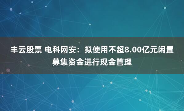丰云股票 电科网安：拟使用不超8.00亿元闲置募集资金进行现金管理